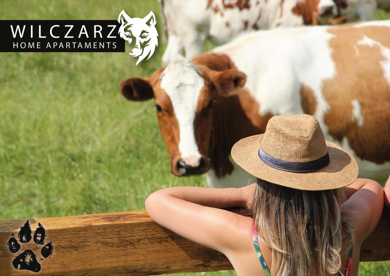 Wilczarz Apartment Duszniki Zdroj Ngoại thất bức ảnh